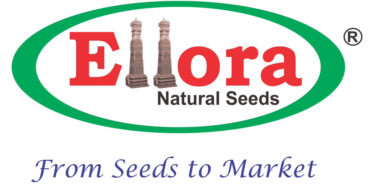Ellora Natural Seeds Pvt Ltd